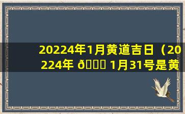 20224年1月黄道吉日（20224年 🐛 1月31号是黄 🐶 道吉日吗）